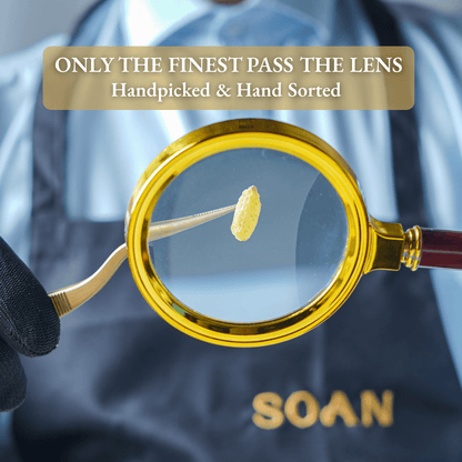 Afghan Green Raisins [Grand] - Soan