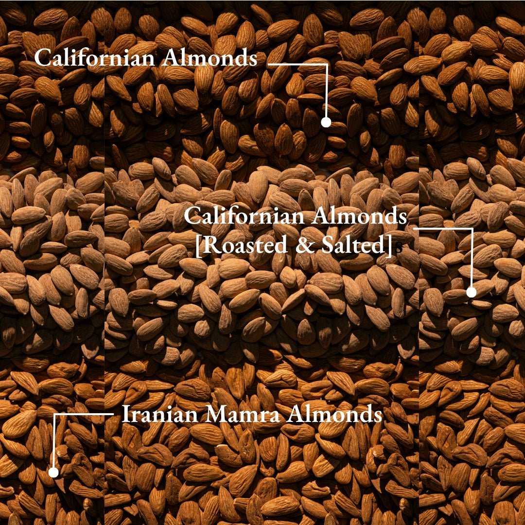Iranian Mamra Almonds [Classic] - Soan