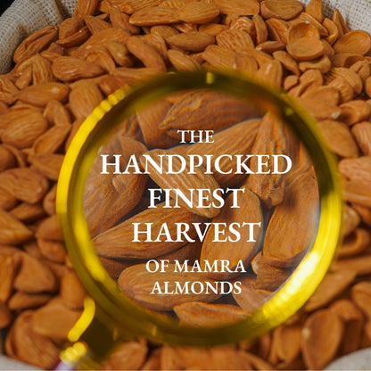 Iranian Mamra Almonds [Classic] - Soan