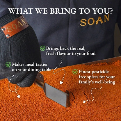 Malvani Masala - Soan