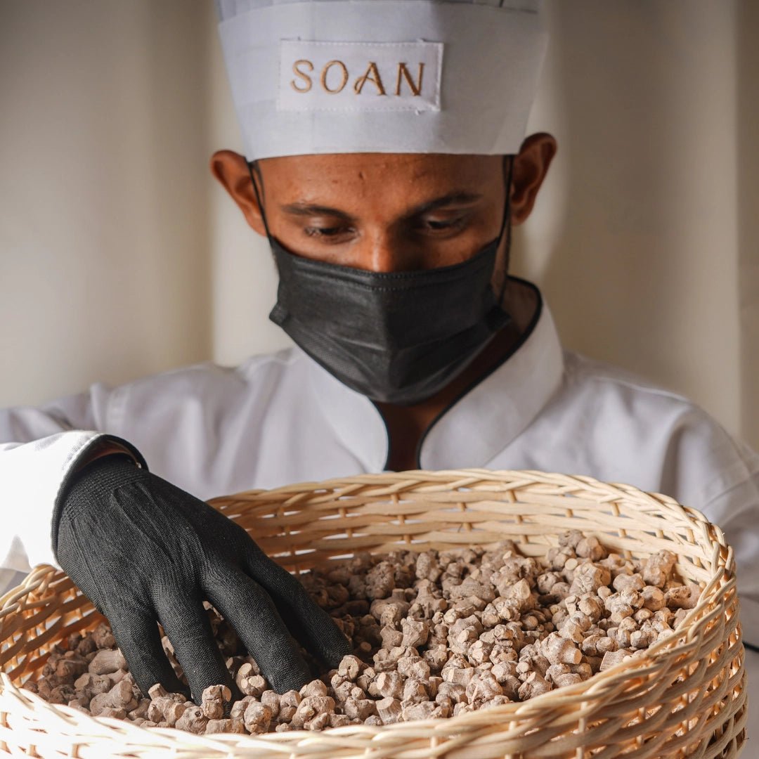 Pipramul / Ganthoda Powder - Soan
