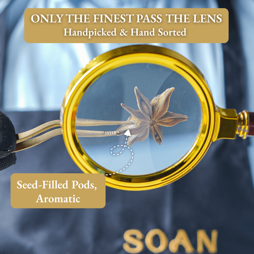 Vietnamese Star Anise - Soan