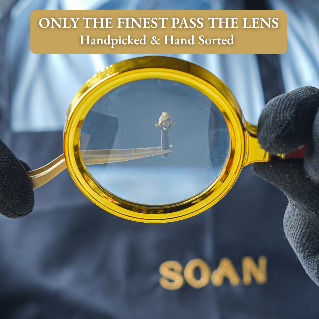 Zanzibar Clove / Lavang - Soan